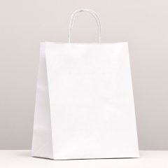 Пакет бумажный с ручками Белый 24х14х28 см 3742612